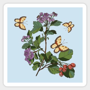 botanical illustration of a plant with berries and a butterfly Sticker